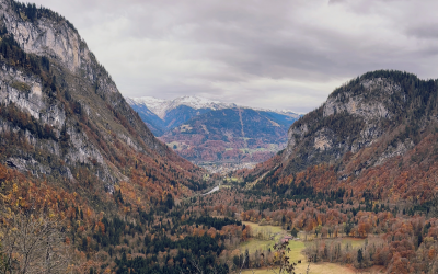 Le Jeu sur le Long Terme : les Vrais Progrès Prennent du Temps